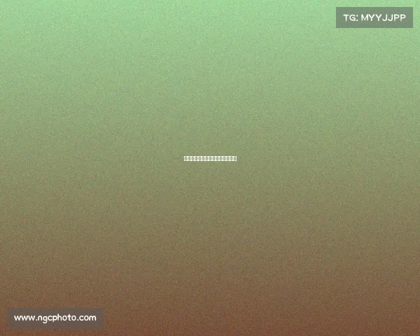 赛事赞助标准核心要素与规范指南